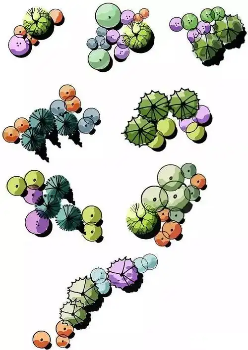 景观设计考研快题手绘/平面图手绘/植物配置组合形式