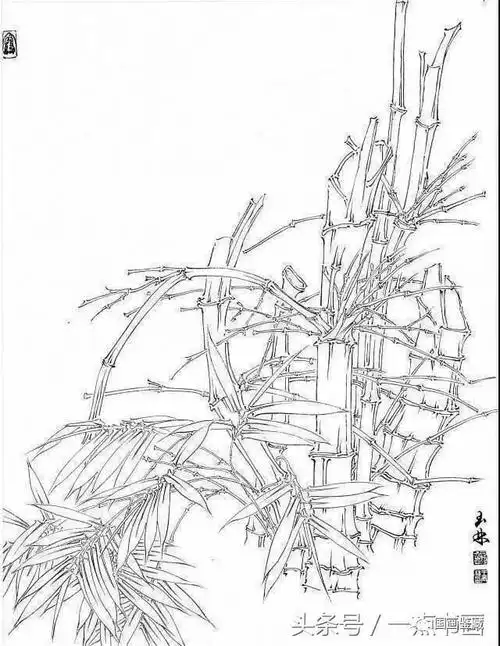 书画联盟丨国画素材 , 白描竹子