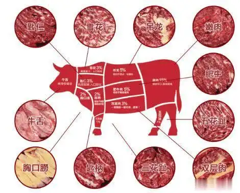 大开眼界:极品雪花牛肉是怎么养成的?