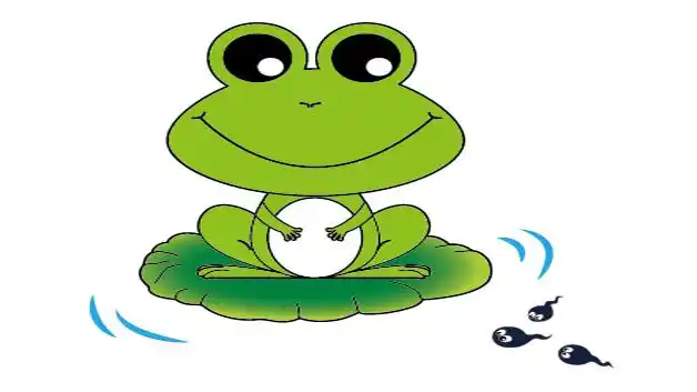 蝌蚪找妈妈简笔画 - 懂得