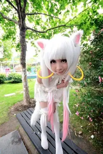 杀马特葬爱家族非主流内部消息曝光