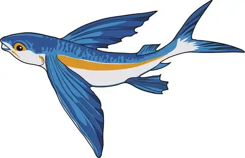 飞,涂绘,海洋哺乳动物,飞鱼,鱼竿,海洋,猎捕