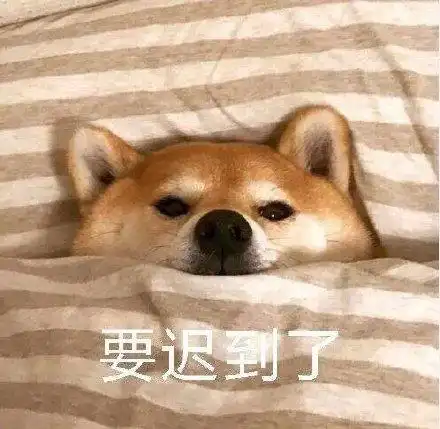 萌宠 汪星人 要迟到了 不想动 呆萌 可爱