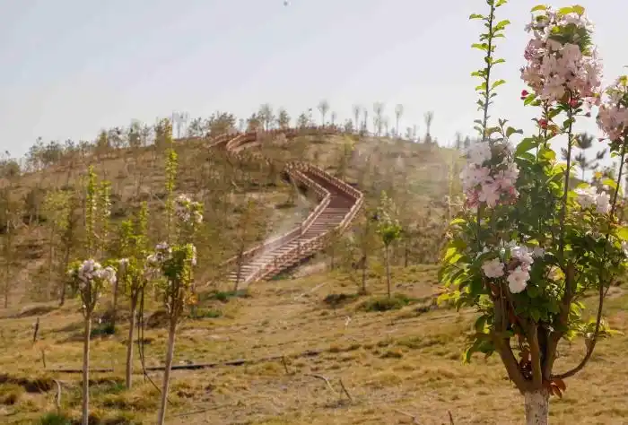 绿水青山丨新疆喀什北湖湿地公园波光粼粼新绿绕