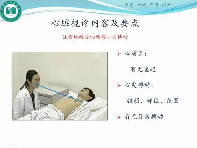 心脏体格检查ppt课件ppt