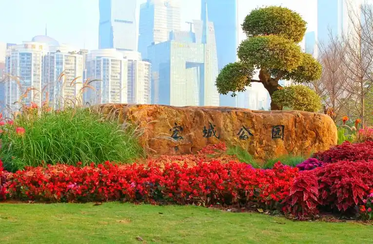 兴趣 清晨的二沙岛 写美篇宏城公园位于广州二沙岛东端,总占地面积