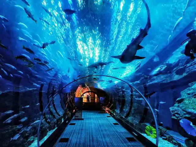 攻略篇:一分钟带你游遍蓬莱海洋极地世界!