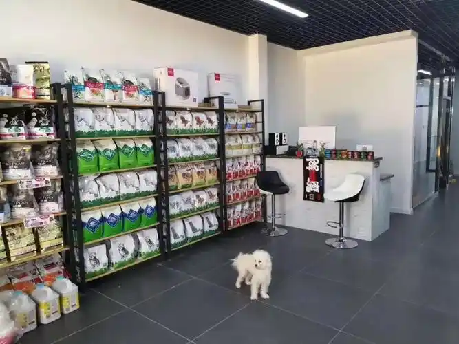 深圳开好宠物店如何提升核心竞争力