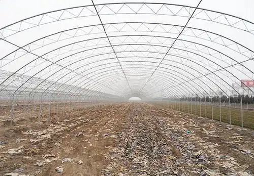 山东寿光冬暖大棚全钢架无立柱型