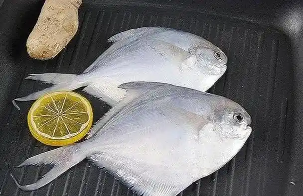 市场上这4种鱼,现在无法人工养殖,都是野生鱼,价格便宜营养高