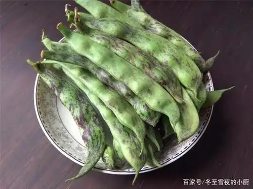 大马掌:豆角长得比较宽,带有紫色花纹.