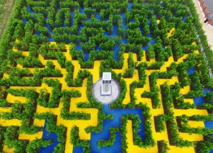 世界上最难走出来的迷宫没有多少人能挑战成功