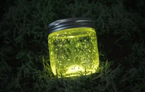 通榆县实验小学二年一般葛皓宇第四期家庭读书会《萤火虫去许愿》