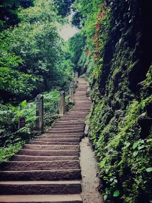 【携程攻略】青城山青城山景点,建议想去青城山的朋友不要跟当地的一