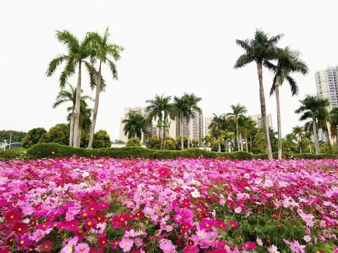 2021春节元宵节南宁花卉公园游