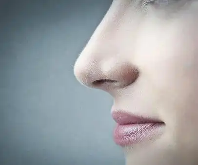 大体上,温湿地区的人鼻子较宽而干冷地区的人鼻子较窄.