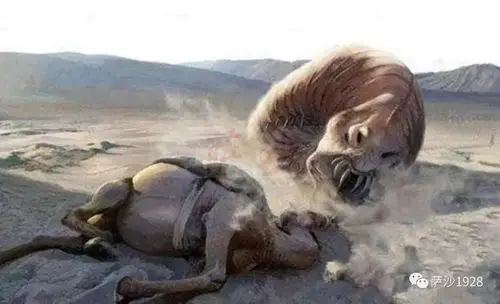 巴丹吉林沙漠中竟然有怪物(你不知道的灵异事件第51讲)