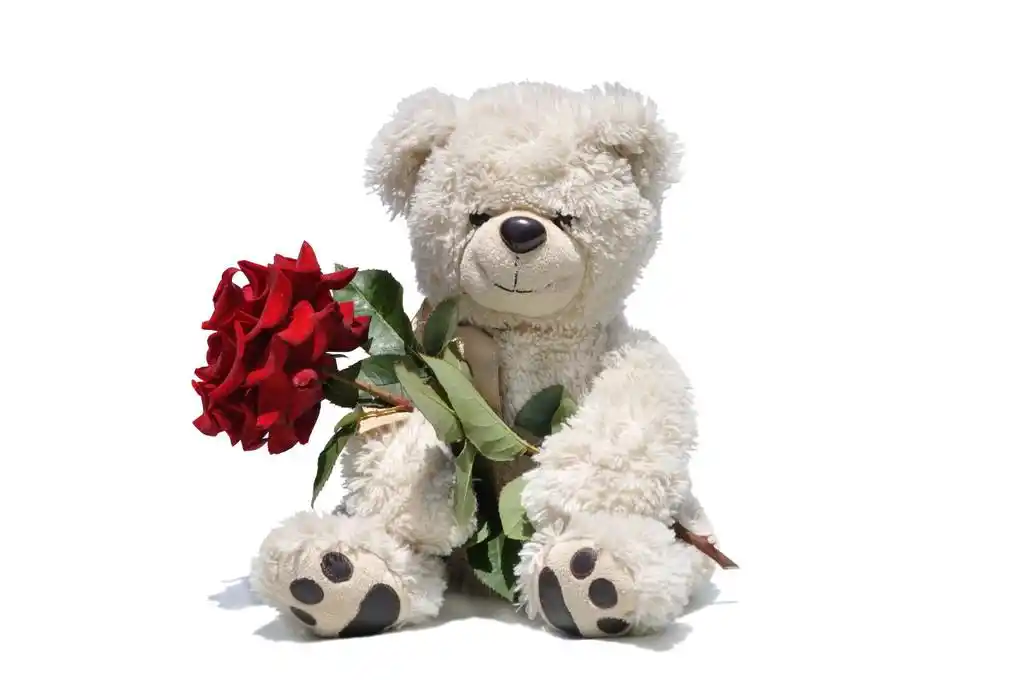 熊保持红玫瑰,熊毛绒玩具保持红玫瑰
