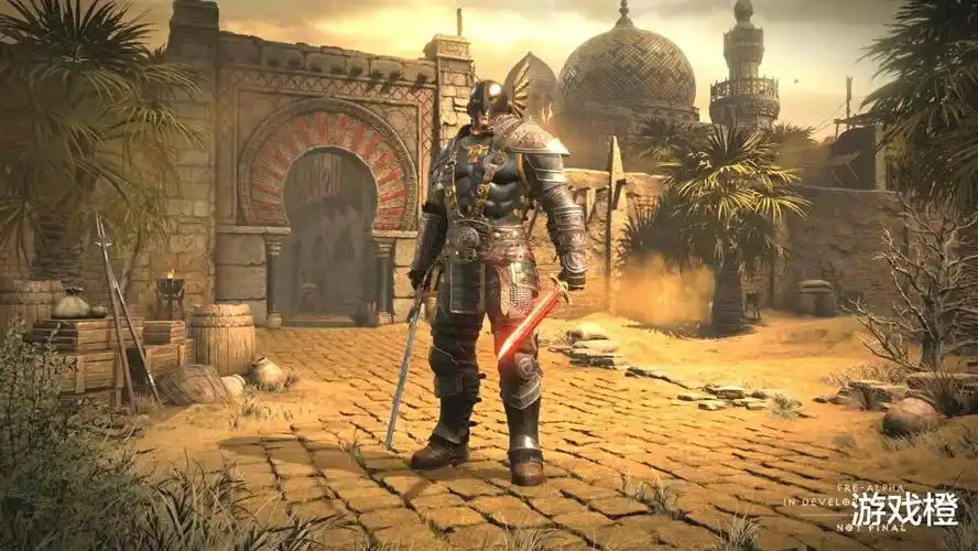 《暗黑破坏神2》中圣骑士主角的师姐,却在退休后做了一名铁匠 - 游戏