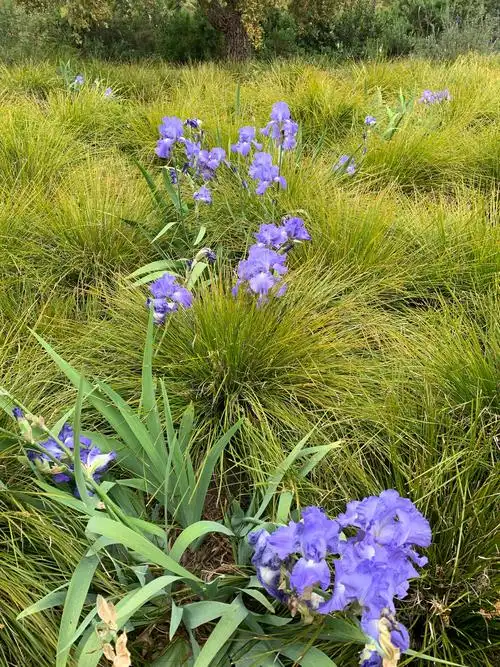 爱护大自然,路边野花不要采.
