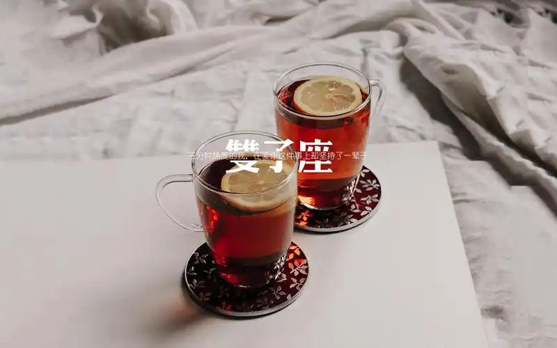 双子座唯美语录图片桌面高清壁纸下载6