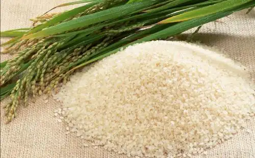 新车保险费率 一般大米的保险费率