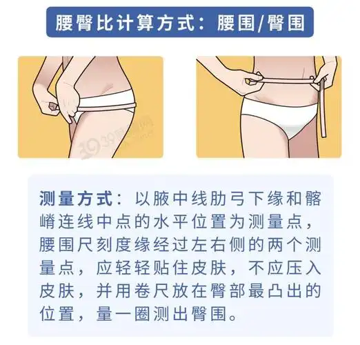 腰围|肌肉|脂肪|坐姿|臀大肌|腰臀比_网易订阅