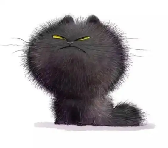 猫咪炸毛搞笑合集网友我家猫怎么炸了