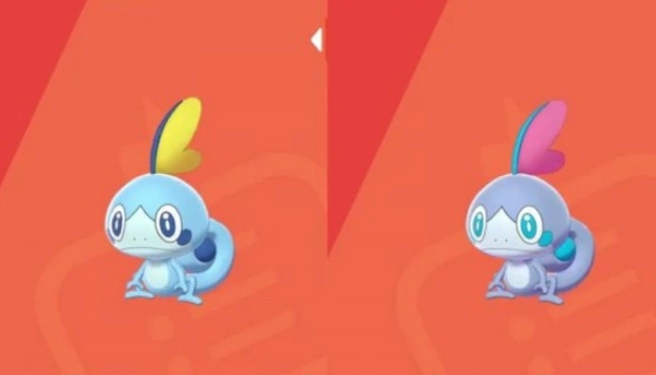 40速度:70总和:310属性:水特性:激流隐藏特性:狙击手进化链:泪眼蜥