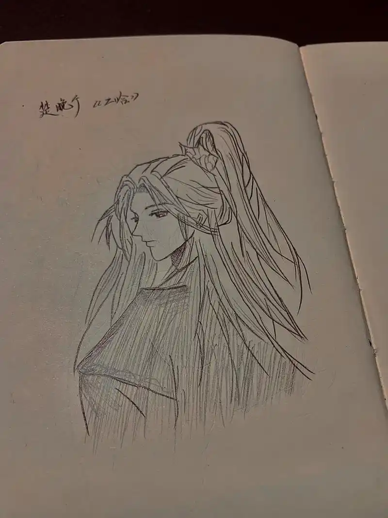 楚晚宁 手绘 《海棠微雨共归途》 |   by 肉包不吃肉