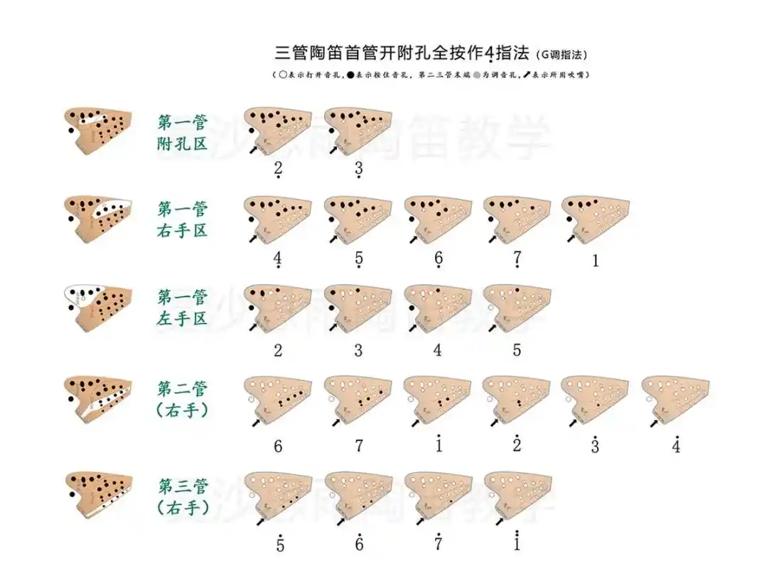 建议收藏,三管陶笛筒音做4,g调指法.分区展示,学起来更简单 - 抖音