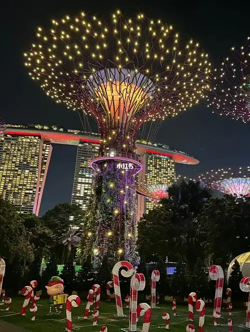 新加坡滨海湾花园夜晚的灯会美极了