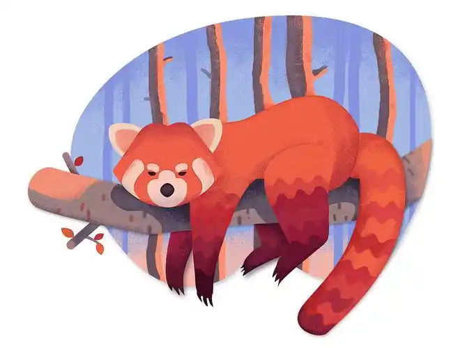 小浣熊|插画|插画习作|艹艹哒 - 临摹作品 - 站酷 (zcool)