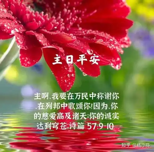 感谢,赞美主耶稣基督!阿们