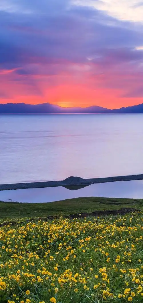 人生如梦,梦如人生,漫漫人生路.