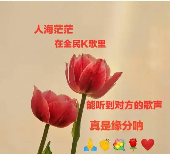 我做的图片放在k歌相册里!2020.4.25