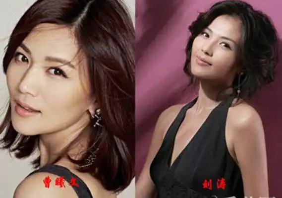 曹曦文和刘涛认识吗 虽长得很像但两人互不相识