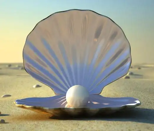 珍珠只有一种戴法这样想你就out啦