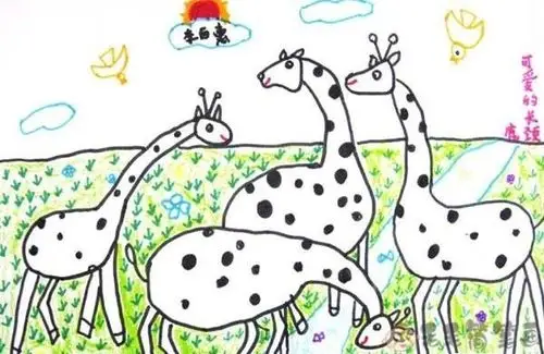 动物世界儿童画,动物幼儿绘画 - 毛毛简笔画