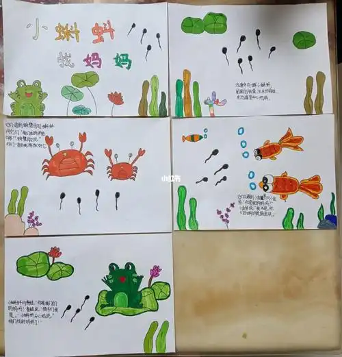绘本小蝌蚪找妈妈