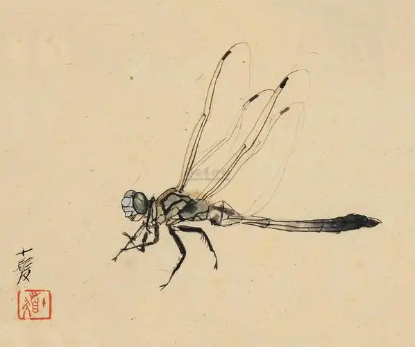 0275蜻蜓镜片纸本