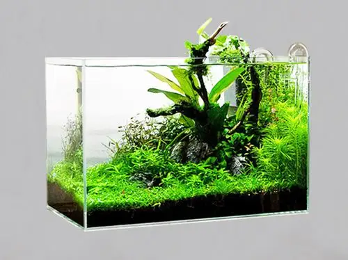 酷诺超白鱼缸造景配置教程