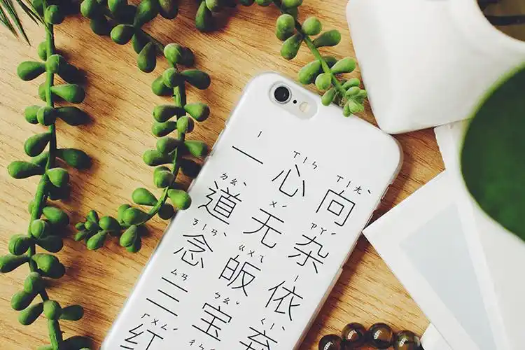 神叨叨的一心向道无杂念手机壳