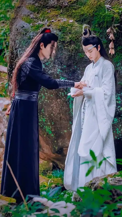 博君一肖##陈情令