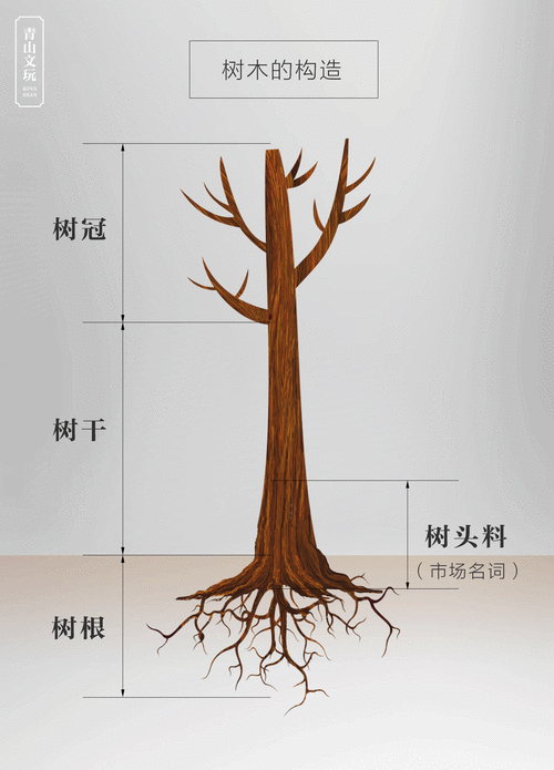 和大部分常见的树木一样,紫檀也是由树冠,树干,树头,树根组成.