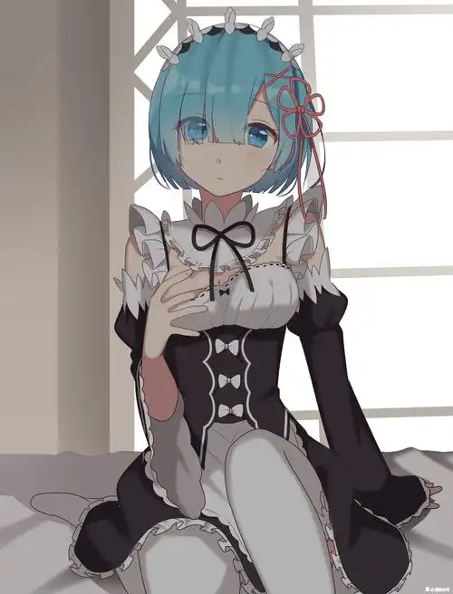 re从零开始的异世界生活雷姆图集