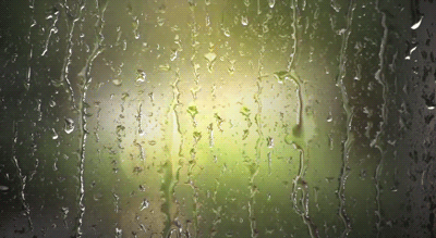 400_219gif 动态图 动图