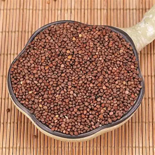 紫苏500克包邮中药材新货赤苏香苏紫苏