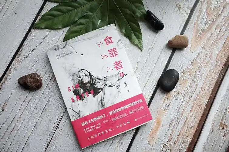 红衣女孩悬疑事件_丁潜