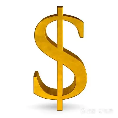 白前视图上的金色美元符号.